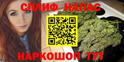 PSILOCYBIN Кингисепп
