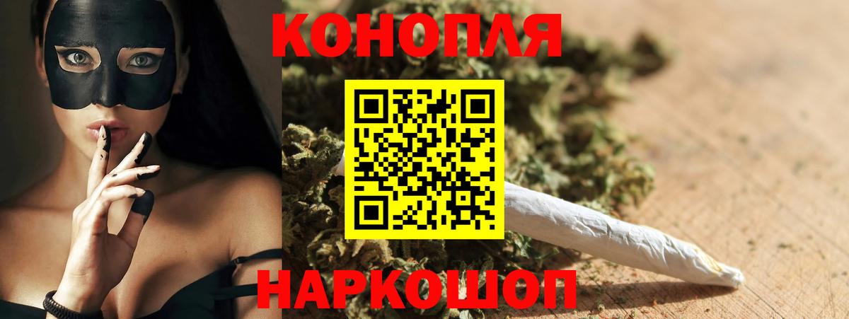 Канабис планчик Узловая